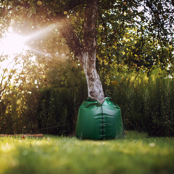 Tree water bags