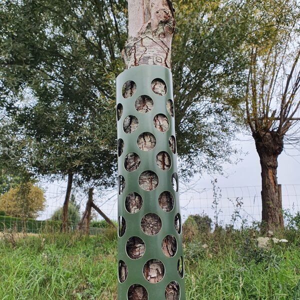 Tree protection