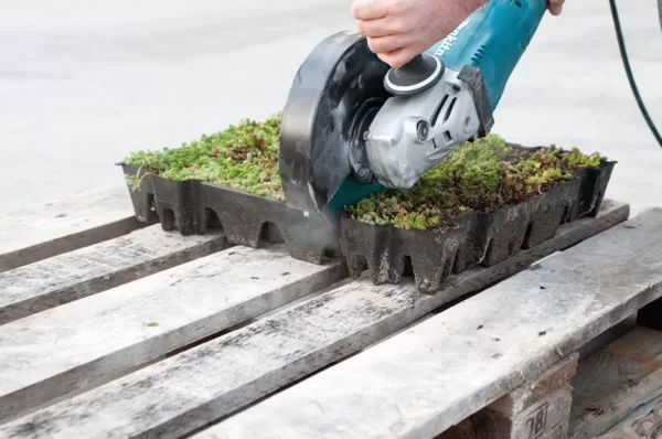 ECCOsedum – valmis rohekatused